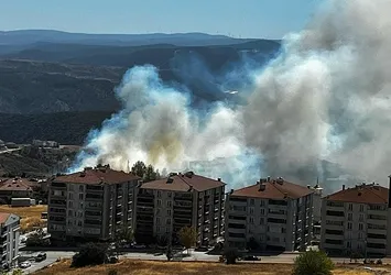 Bilecik'te salça yapmak isterken 30 dönüm yeri yaktılar