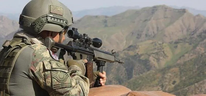 Şırnak'ta 2 terörist daha öldürüldü