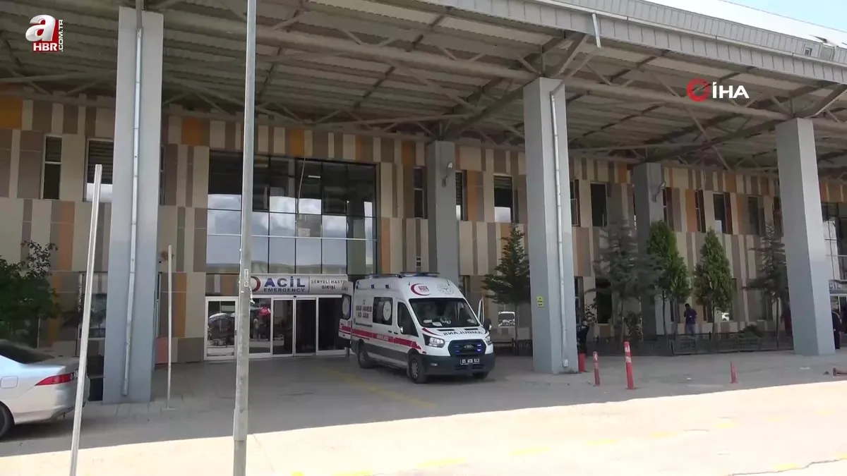 Van'da 144 'acemi kasap' hastanelik oldu