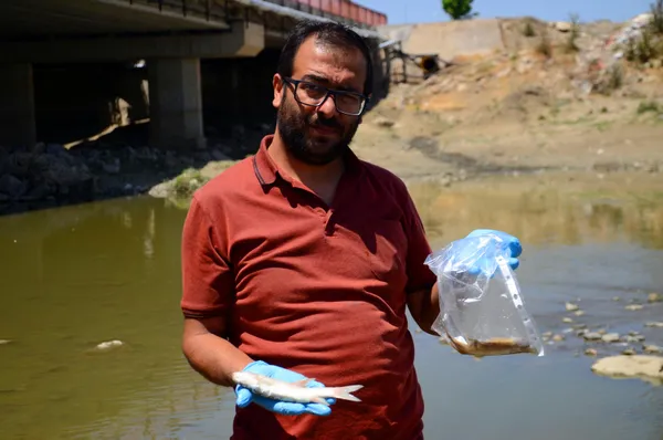 Karasu Nehri'nde korkutan balık ölümleri - 5