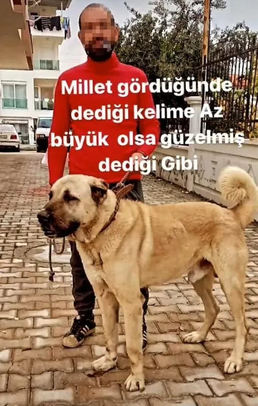 Kaçarak evlendi! Kocası hayatını zindana çevirdi: Tekme, tokat ve demir borulu şiddetine maruz kaldı! - 4