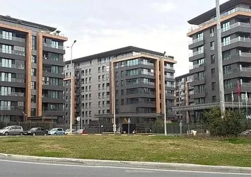 İstanbul’da İsveçli vahşeti! Öldürüp skuterle kaçtı
