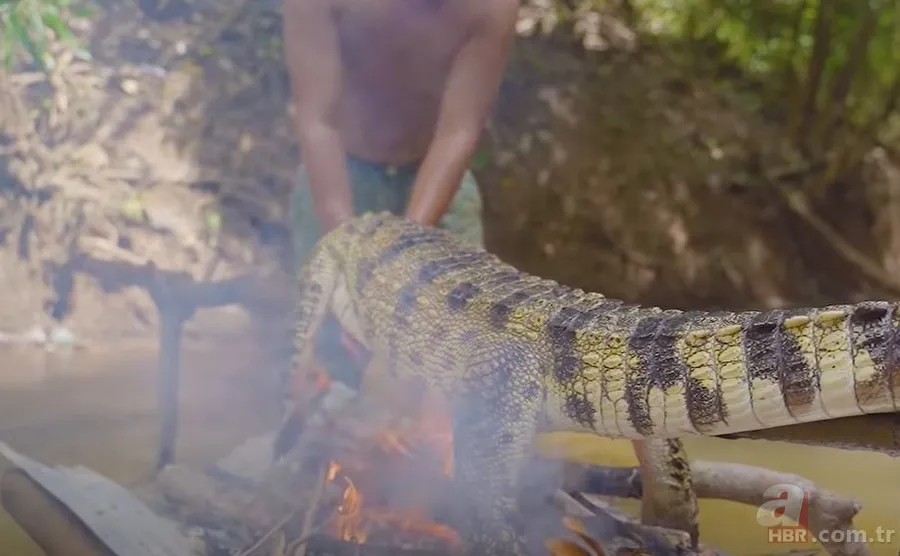 Hayatta kalmak için avladıkları timsahın karnından çıkanlar şoke etti! Mide bulandıran görüntü 14