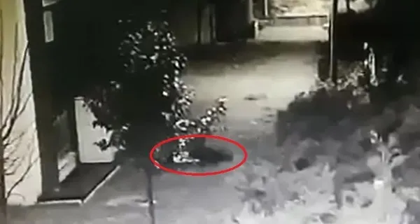 1674135443563.jpg Kocaeli'de 7. kattan düşerek hayatını kaybeden Sedefnur'un davasında flaş gelişme! Polis sevgilisi Ahmet Ata için tahliye kararı - 1