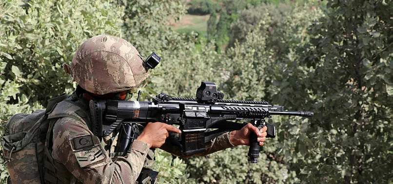 Bakan Soylu: Hakkari'de 4 PKK'lı öldürüldü
