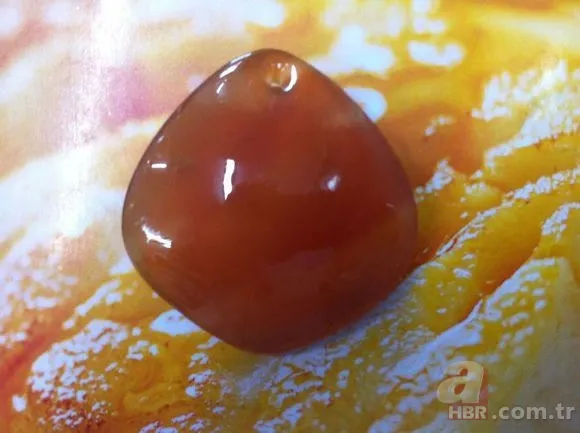 Tavuk kümesine girince gözlerine inanamadı 🐓 Beslediği tavuğun yumurtası... 18