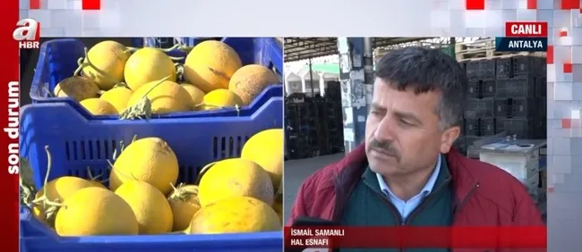 Sebze ve meyve fiyatlarında düşüş! Antalya halinde fiyatlar bir haftada yarı yarıya düştü