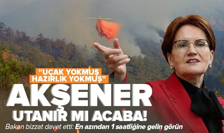 Son dakika | Meral Akşener’den Marmaris’teki orman yangınıyla ilgili provokatif sözler: Uçak yokmuş, hazırlık yokmuş! İşte yok saydığı o görüntüler