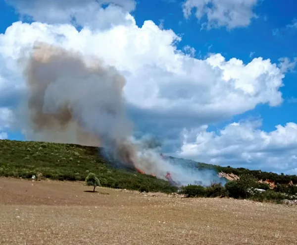 canakkalede-yangin-kontrol-altina-alindi-sogutma-calismalari-devam-ediyor-1664458033768.jpg Çanakkale’de yangın kontrol altına alındı! Soğutma çalışmaları devam ediyor - 1