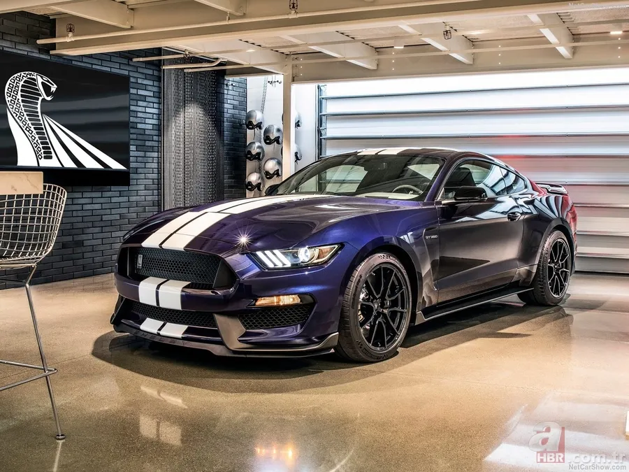 2019 Ford Mustang Shelby GT350 1