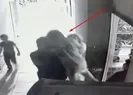 Cani baba dehşet saçtı!