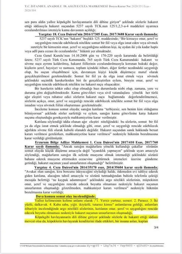 AK Partili vekile ’köpek’ diyerek hakaret eden kadına verilen beraat kararı bozuldu