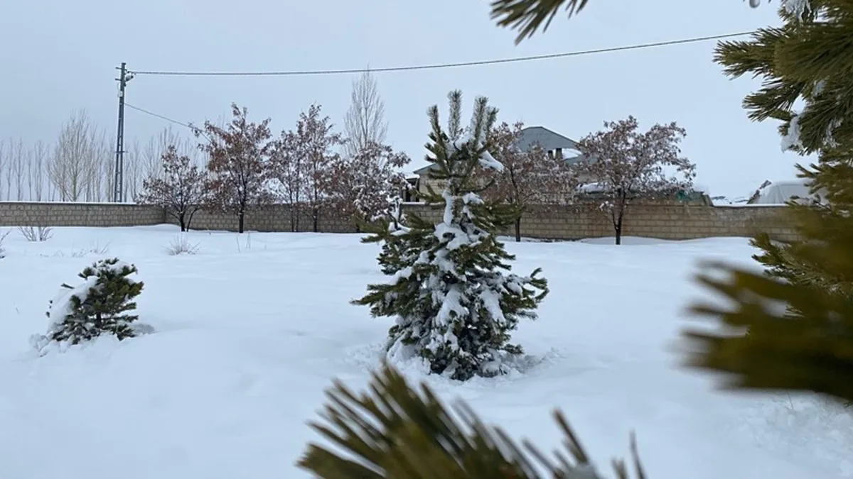 Mart ayında Ağrı'da kar yağışı: Günlük yaşam olumsuz etkilendi