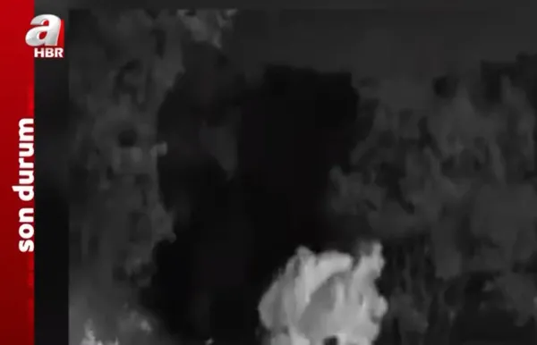 SİHA'lar Siirt'te teröristleri böyle avladı! 4 PKK'lı fotokapana yakalandı - 3