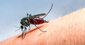 KKTC’de ’’Batı Nil Virüsü’’ alarmı! 1 kişi öldü