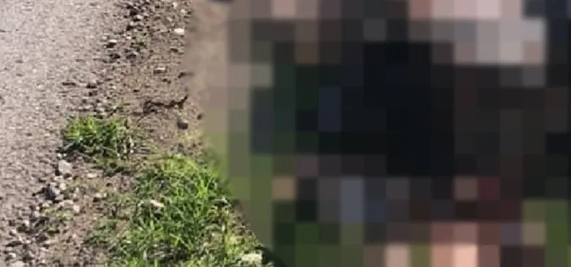 Sakarya'da çevreye atılan kurban atıklarına vatandaşlardan tepki