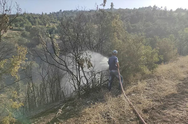 Son dakika haberi: Manavgat’taki yangını çıkaran 16 yaşındaki şahıs tutuklandı