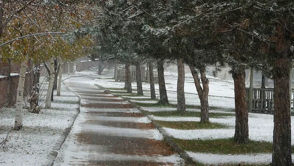 3 ilde yoğun kar yağışı! Hangi illerde kar yağacak?