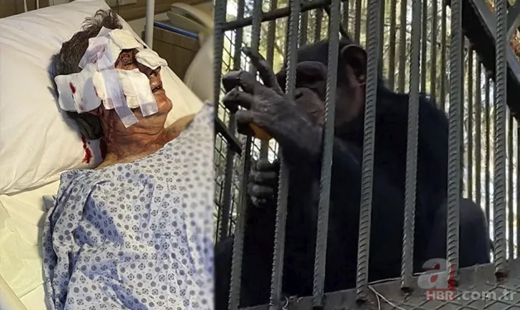 Maymun böyle kaçırdı! Halk seferber oldu 21