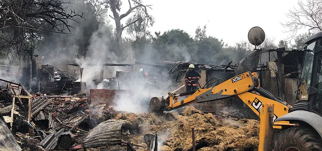 Uşak’ta ahır yangını: 54 kuzu telef oldu