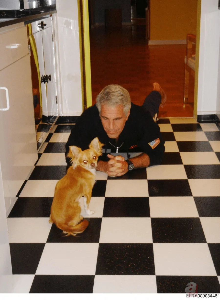 Epstein sapığının dosyaları açıldı! Bondi Kongre’ye sundu: Trump’tan Obama’ya, Netanyahu’dan Beyonce’ye 305 isimlik dev liste 11