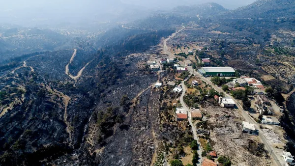 Manavgat'ta tohumlar filizlendi! Yeşile hasret bölgede sevindiren gelişme - 5
