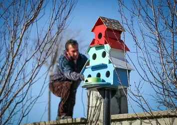 Kuşlar için ilçeyi yuvayla donattılar