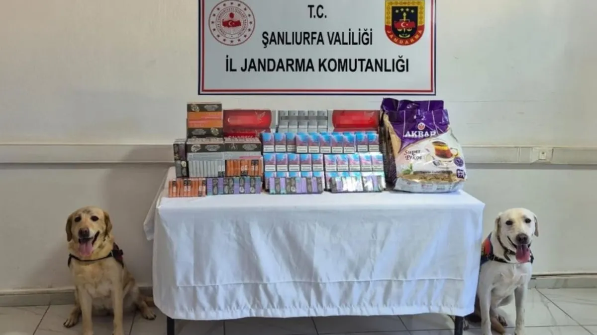 Şanlıurfa'da tütün ve alkol kaçakçılarına darbe