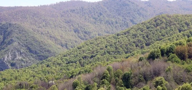 İzmir’den flaş karar: Ormanlık alana girişler yasaklanıyor