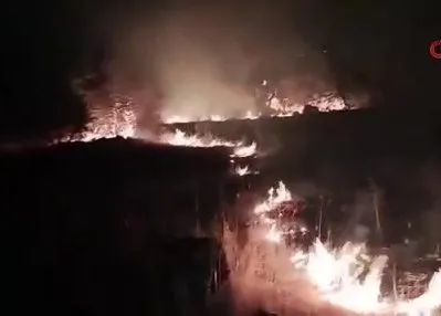 Çöplükte çıkan yangın araziye sıçradı