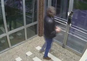 İstanbul’da kediye dakikalarca işkence etmişti! Yeni skandalı dehşete düşürdü