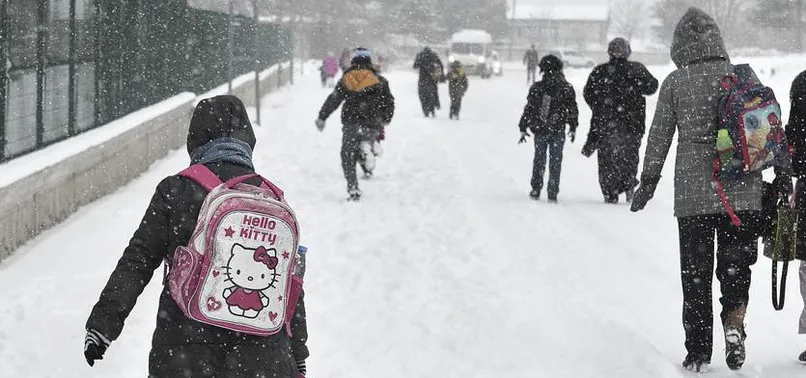 Ordu ve Giresun'da eğitime kar engeli