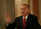 ABD çizgiyi aştı! Erdoğanı hedef aldılar