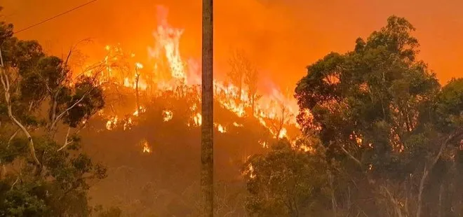 Avustralya’daki orman yangınları kontrol altına alınamıyor