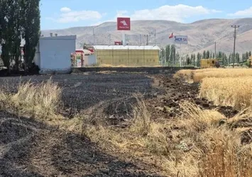 Elazığ'da 23 dönüm buğday, yanarak kül oldu