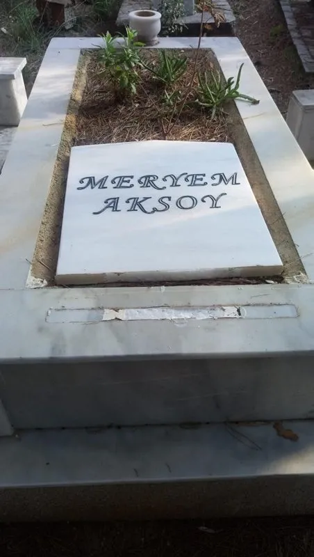 1608901748492.jpg Mezarlıklara zarar verip Türk bayraklarını söktü! Sebebi ise herkesi şoke etti - 3