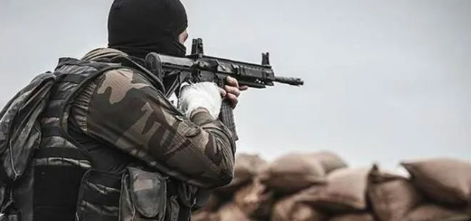 Hakkari terör operasyonu