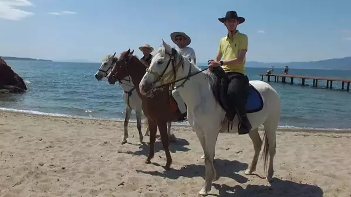 Plaja atla geldiler