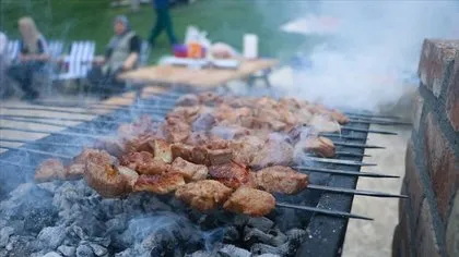 Son dakika: Mangal yasağı kalktı mı? Mangal yakmak yasak mı? Piknik yapmak serbest mi?