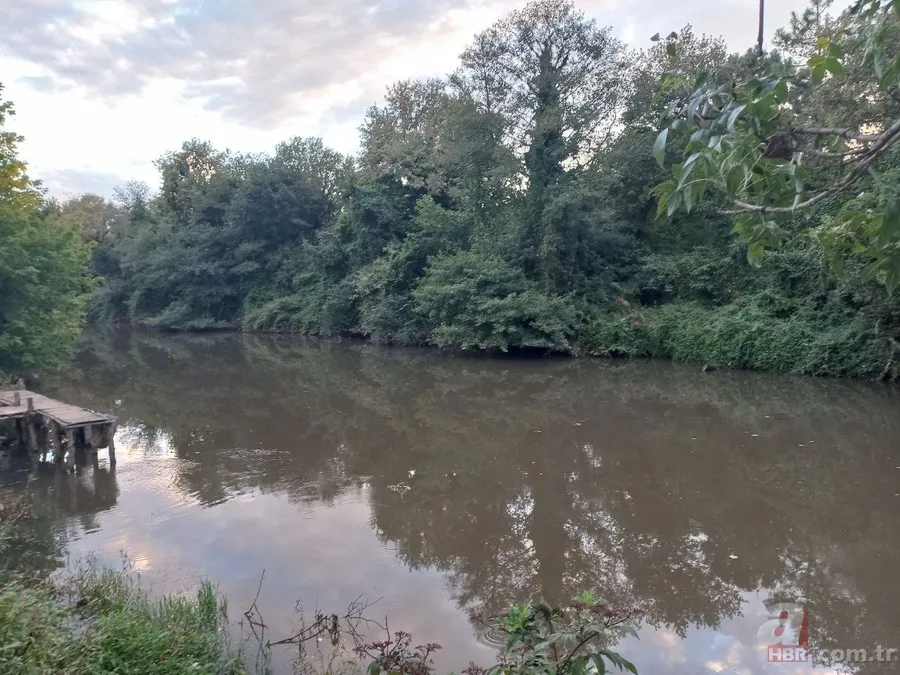 Cennet Riva ölüyor! 27 aydır Ekrem İmamoğlu'nun keyfini bekliyor 2