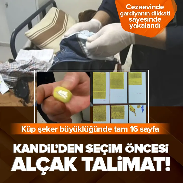 16 sayfalık talimatı şeker küpü haline getirmişler