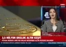 Türkiye’de tespit edilen altın madeninin değeri belli oldu