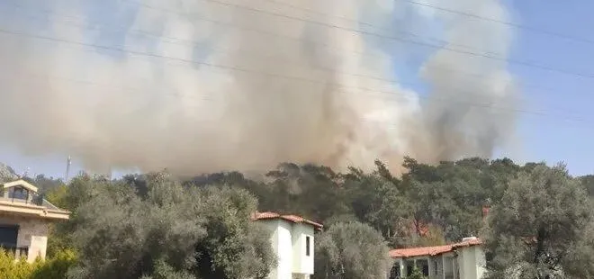 SON DAKİKA! Fethiye'de orman yangını
