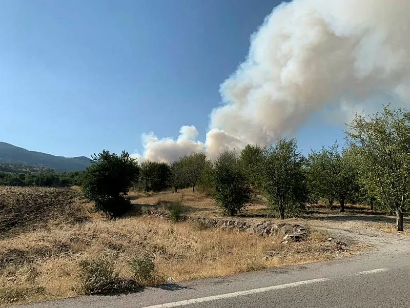 Ankara Nin Cubuk Ilcesinde Orman Yangini