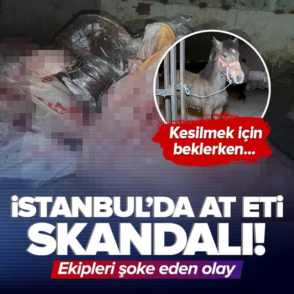 İstanbul’da at eti skandalı! Ekipleri şoke eden olay