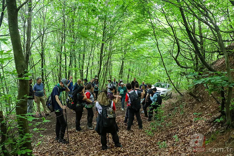 Sadece manzara değil, tedavi! Doğanın insan üzerindeki etkisi: Kokusu bile yetiyor 2