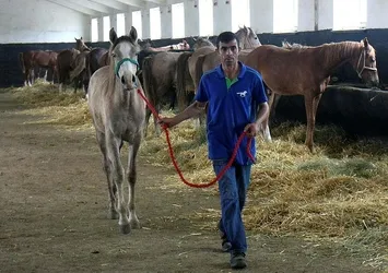 Şampiyon taylardan 22 milyon lira