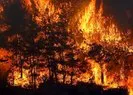 Manavgat’taki yangınla ilgili flaş açıklama