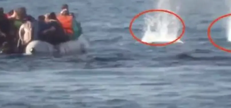 AB sahil güvenlik personeli mülteci teknesini batırmak için bomba atıp silah çekti