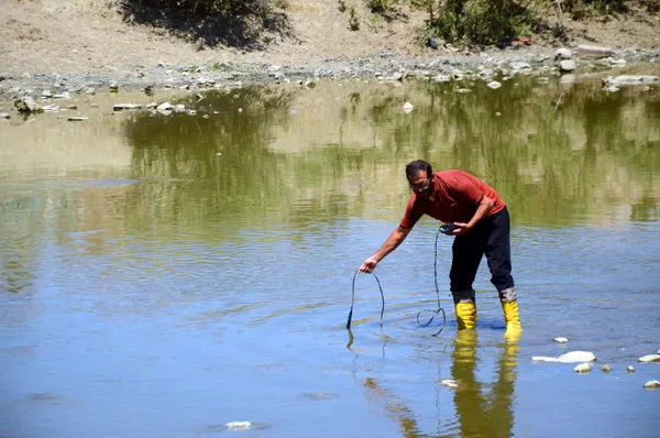Karasu Nehri'nde korkutan balık ölümleri - 2